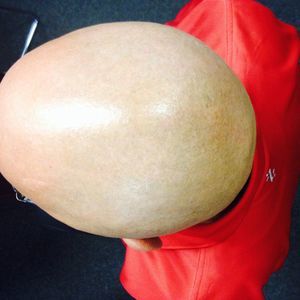 Meet your Posher, Javier